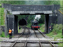SJ9853 : Bridge, locomotive and tunnel portal near Cheddleton, Staffordshire by Roger  D Kidd