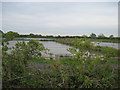 Fish  Farm  south  of  A59