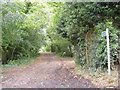 Bridleway to St. Nicholas Church