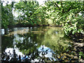 Pond near High Stovolds Farm