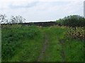 Longriggend, track across the moor