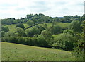 Valley view near Frith Hall