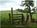 Stile and field, Birley