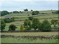 Farmland around Freebirch