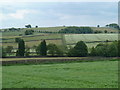 Fields around Freebirch and towards Birley