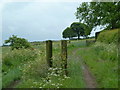 Footpath between Hallcliff Farm and Over Wood