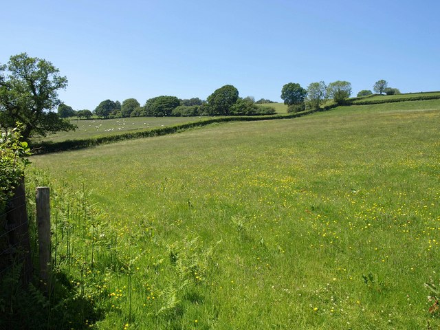Fields near Wonham
