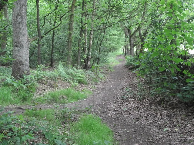 Path to Knypersley Park © Jonathan Kington cc-by-sa/2.0 :: Geograph ...