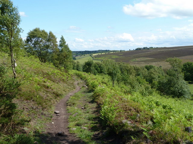 Footpath descending from Longside Moor © Andrew Hill cc-by-sa/2.0 ...