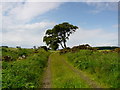 Farm track near Geanies