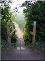 Footpath to Poplar Farm