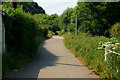 SZ5785 : Cycle Route, Alverstone, Isle of Wight by Peter Trimming