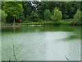 Potomac Pond, Gunnersbury Park