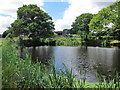 Pond at Leyhurst Farm