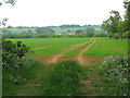 SP3531 : Tracks through a field near Great Rollright by Sarah Charlesworth