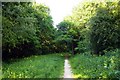 Footpath in the Horspath Parish Council Wildlife Conservation Area