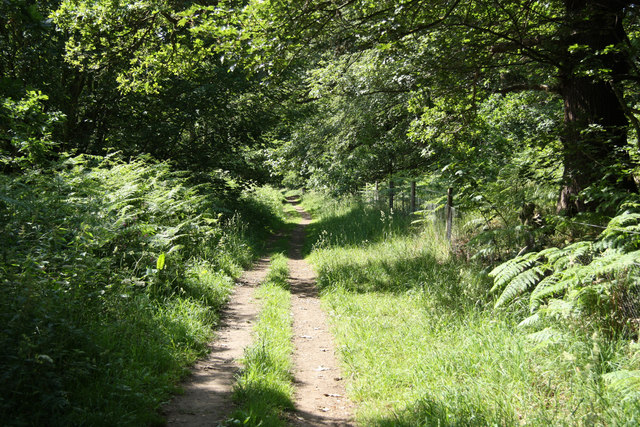 Roman Bank © Richard Croft cc-by-sa/2.0 :: Geograph Britain and Ireland