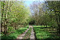 Greensand Way to The Warren