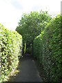 Footpath to Dixter Road