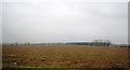 Farmland south of Brunton