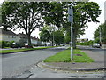 Zebra crossing on Pwllmelin Road