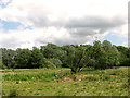 Pastures beside the River Alde, Sweffling