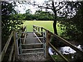 Footbridge and path to Llanfyrnach