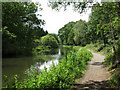 Basingstoke Canal