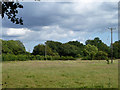 Field and power line