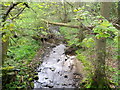 Park Brook near Scorton