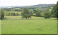 Countryside near Devenish Pit Farm