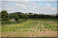 Lound farmland