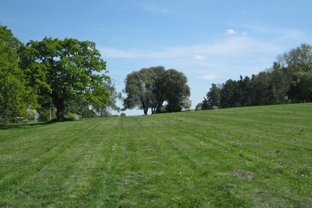 Treescape southeast of Claverdon Leys
