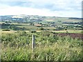 Looking North from Riggs High Road