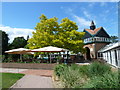 Wisley in June 2011 (138)