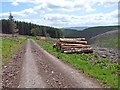 Timber stacks in Kidland Forest