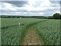 Footpath And Sign