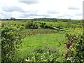 Fields at Rosley