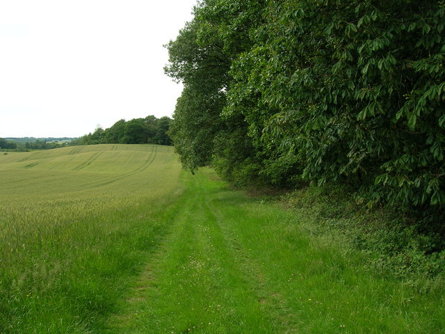 Bridleway beside Slingsby Banks Wood