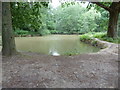 Pond at Westup Farm