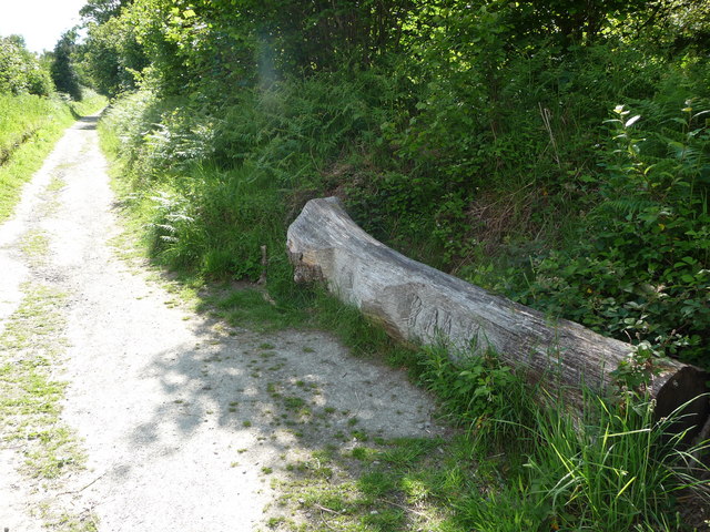 Carved tree trunk beside the path to Bury Ditches hillfort