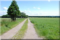 Farm Track to Fullmoor Wood from Gailey Lea road