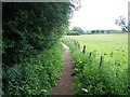 Footpath To Brocton