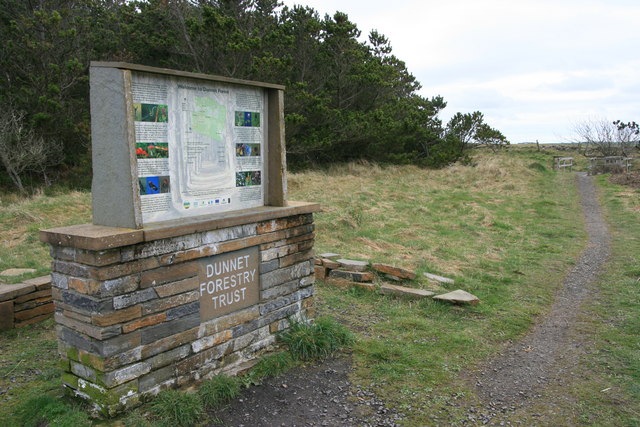 Information board, Dunnet Forest