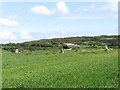 The Carrownacaw Chambered Grave from the west