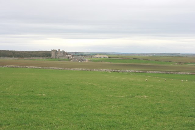 Pastureland near the Castle of Mey