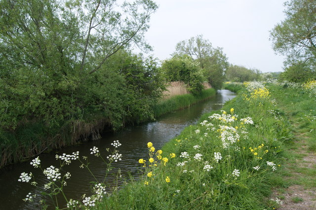 Disused Westport canal in Hambridge © Pam Goodey cc-by-sa/2.0 ...