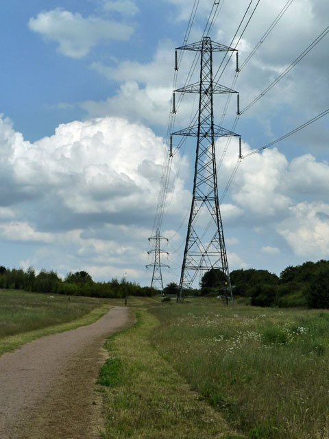 Pylons, Pages Wood © Robin Webster :: Geograph Britain and Ireland