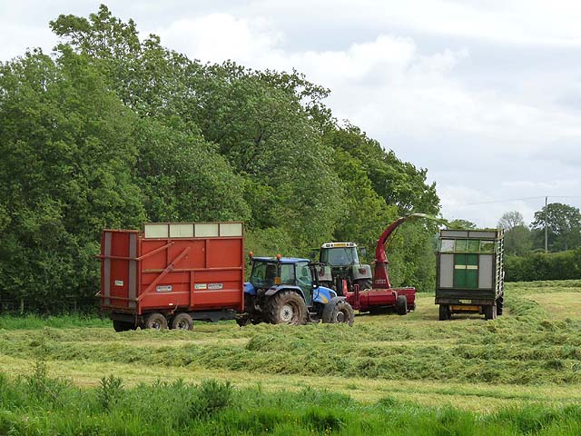 Silage making at Lambfield Farm © Oliver Dixon :: Geograph Britain and ...