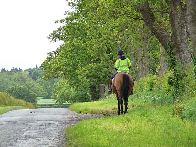 Horse rider near Buckabank Farm © Oliver Dixon :: Geograph Britain and  Ireland